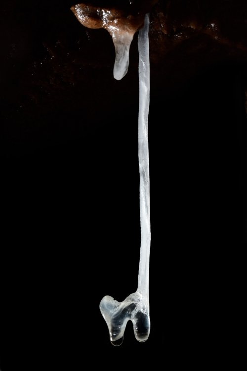 La Combe aux Prêtres - Réseau nord :   excentrique au bout d'une fistuleuse(SP-19-1967 )